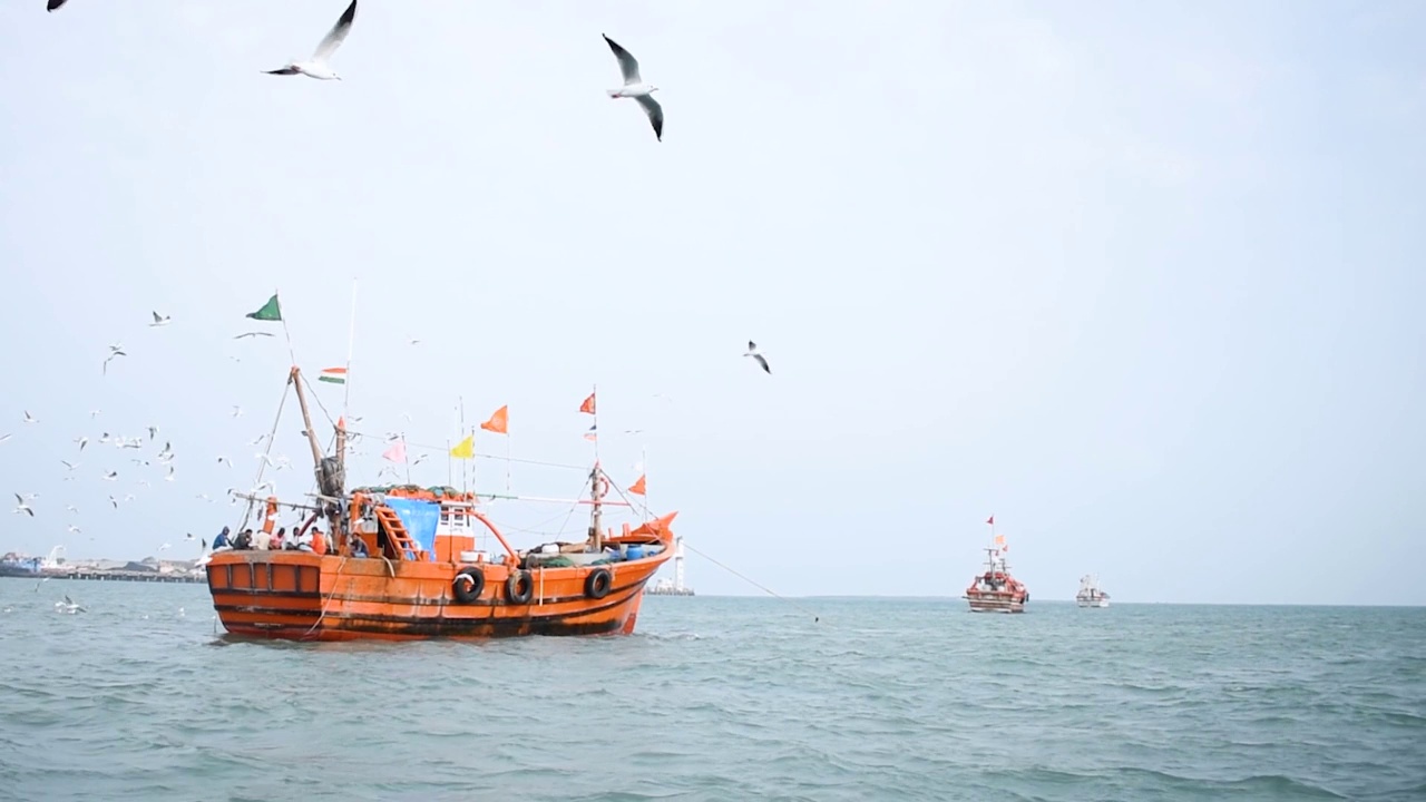 在印度古吉拉特邦的奥卡港，海鸥飞过阿拉伯海的船只。港口的渔船上挂着印度国旗。阿拉伯海的小木船。视频素材