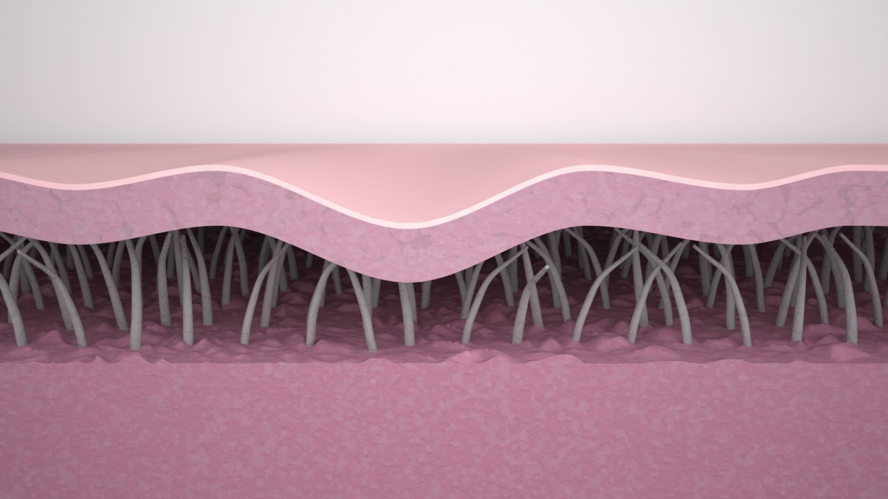 皱纹平滑。医学3d动画展示了皮肤再生的过程，胶原蛋白和弹性蛋白纤维的重建，皱纹消除和皮肤紧致。抗衰老治疗的效果。视频素材