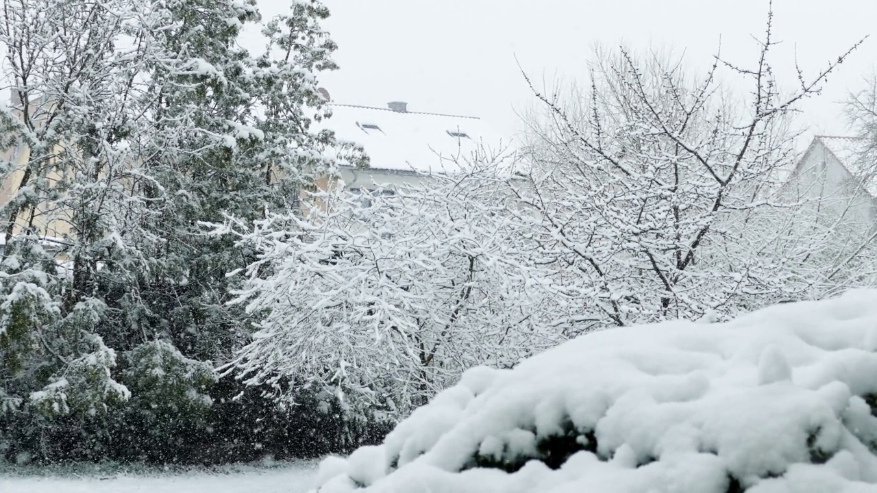 4月的降雪视频素材