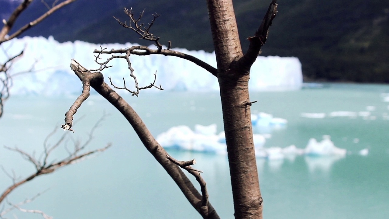 Perito Moreno冰川(Glaciar Perito Moreno)位于阿根廷圣克鲁斯省阿根廷湖的Los Glaciares国家公园。视频素材