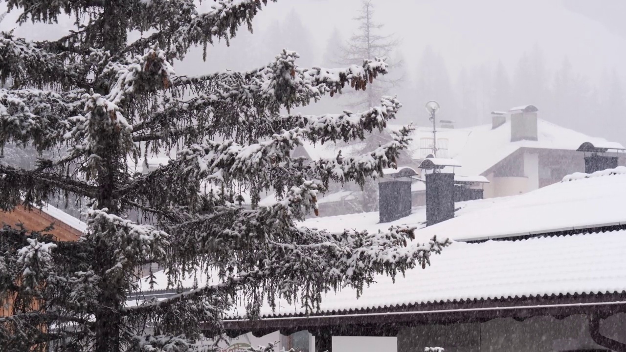 大雪正在进行中-慢动作，冷杉树的特写镜头和被新雪覆盖的附近房屋的屋顶视频素材