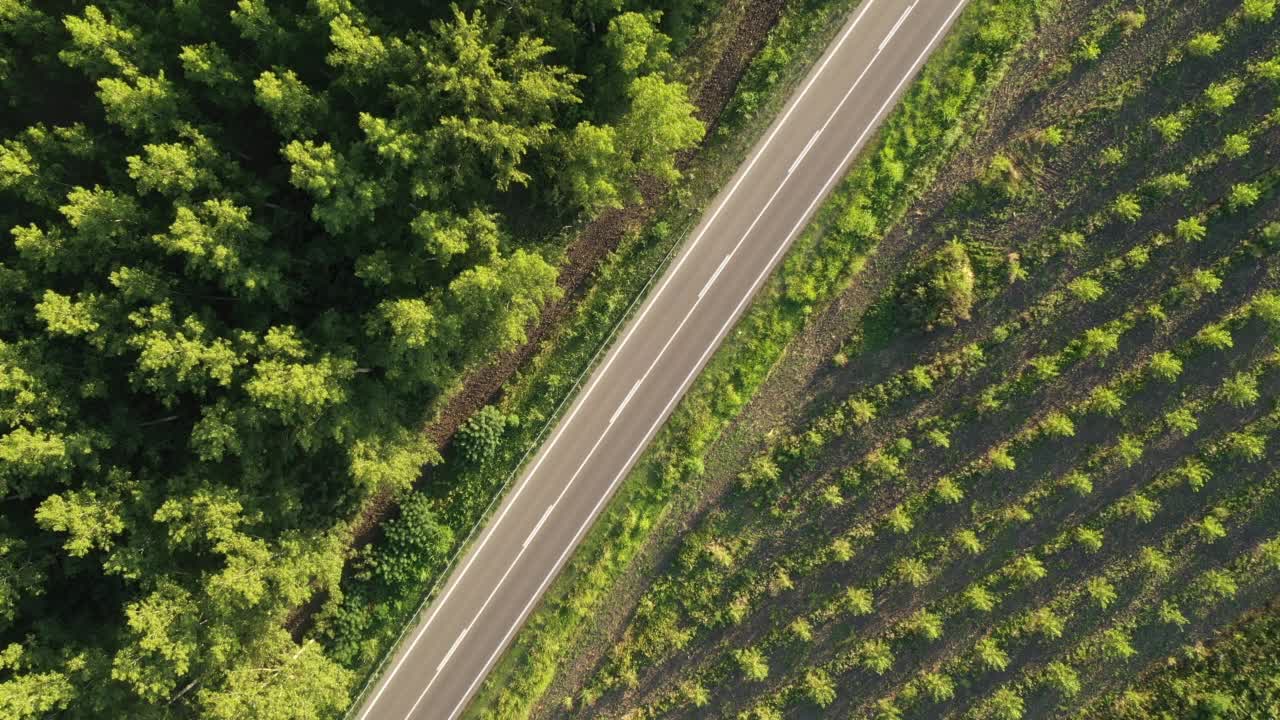 汽车在道路上通过森林景观，空中拍摄无人机pov视频素材