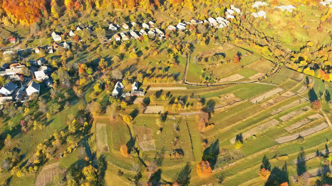 喀尔巴阡山脉景观森林的山村空中全景视频素材