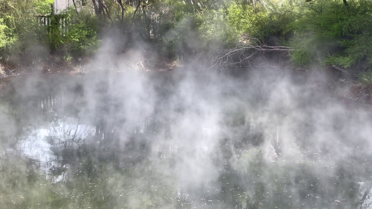 硫磺蒸汽从一个被当地树木和灌木环绕的小地热湖中升起，新西兰罗托鲁瓦视频下载