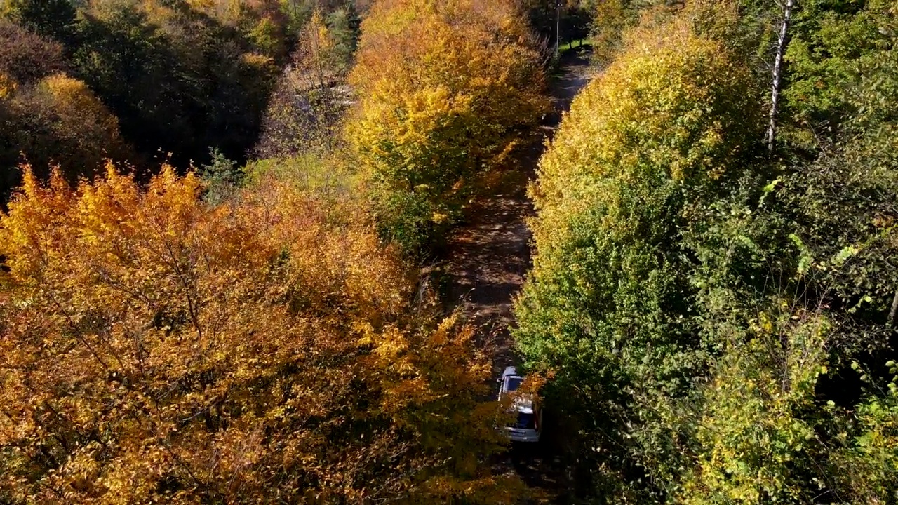 汽车旅行概念跟随汽车由秋天森林路视频素材