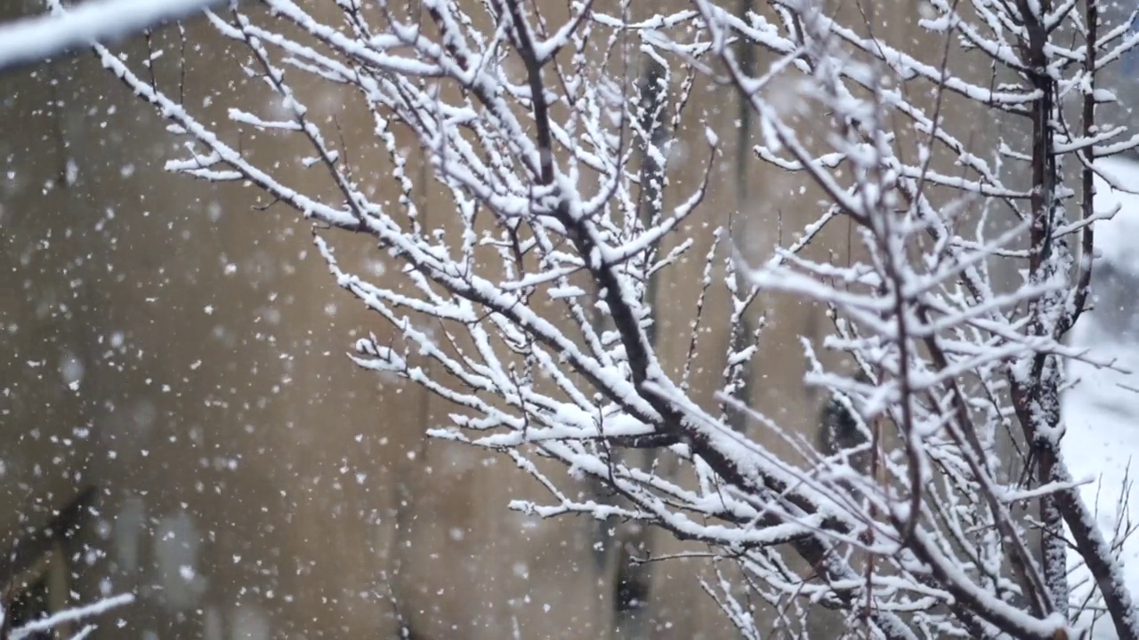 降雪视频素材