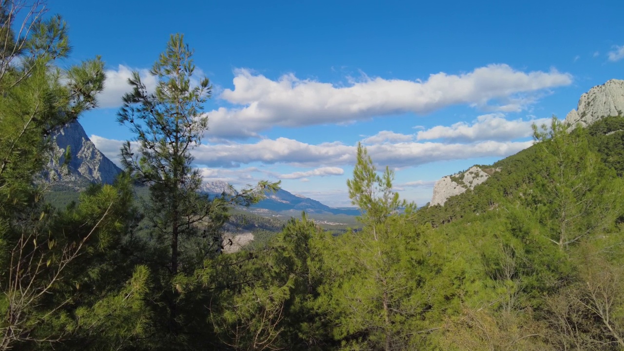 在刮风的天气里，从高大的灌木丛后面看到壮观的云和山景。视频素材