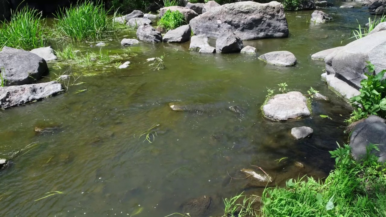 Buky Canyon, Hirskyi Tikych river, Cherkasy地区，乌克兰视频素材