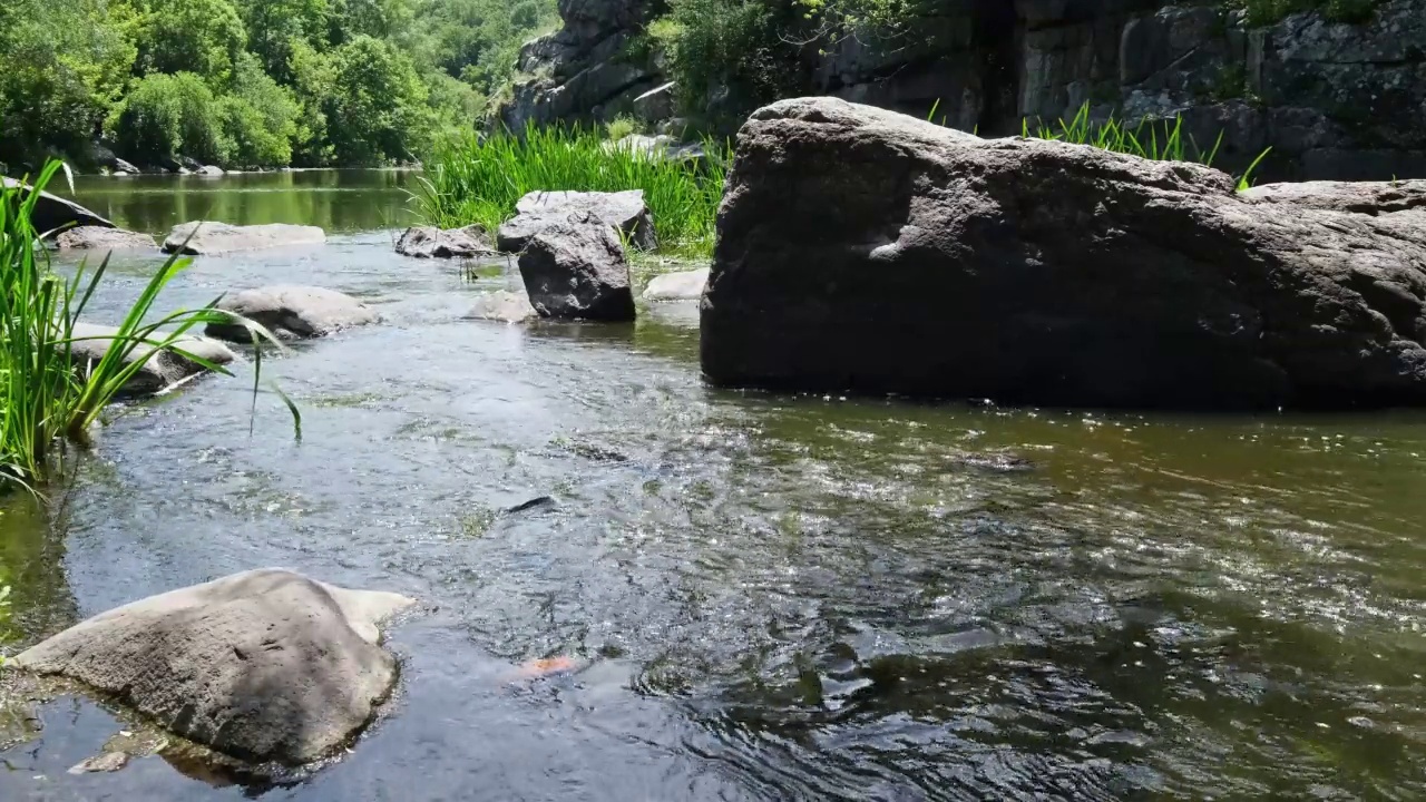 Buky Canyon, Hirskyi Tikych river, Cherkasy地区，乌克兰视频素材