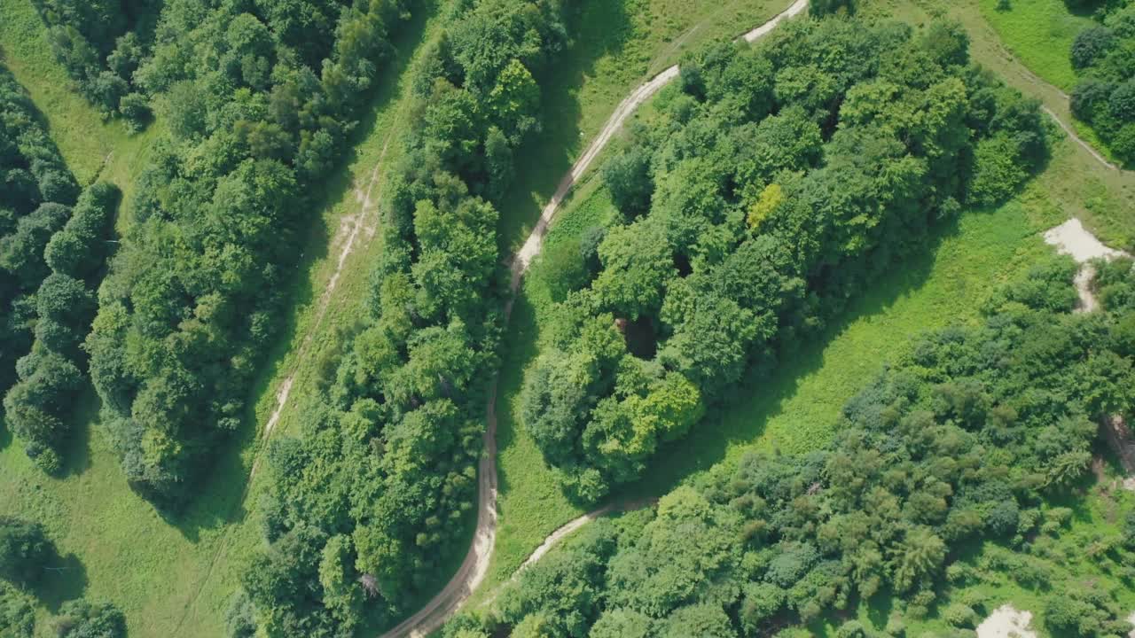 在一个阳光明媚的夏日里，鸟瞰森林里的一条土路。视频下载