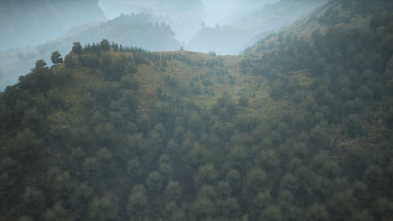 山坡之间草地上的树木，森林在雾中视频素材