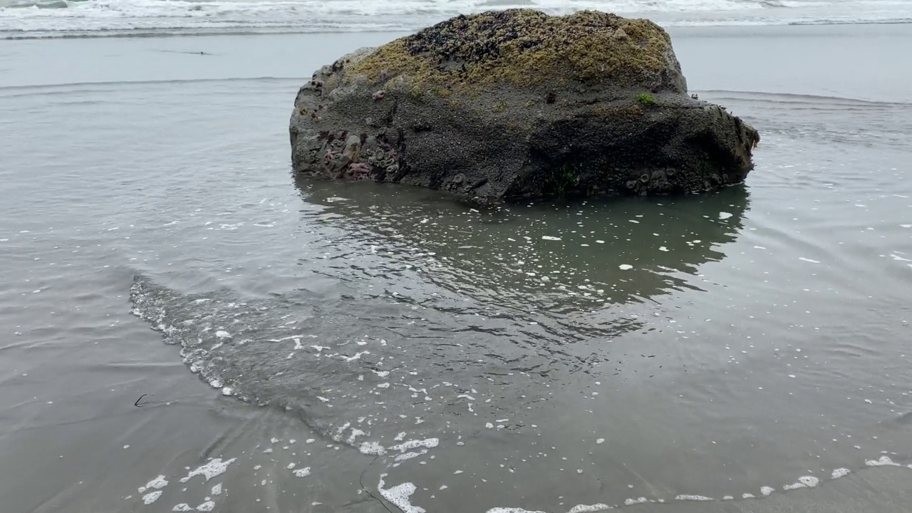 岩石的形成，海边，海洋，海岸，海浪，低潮视频视频素材