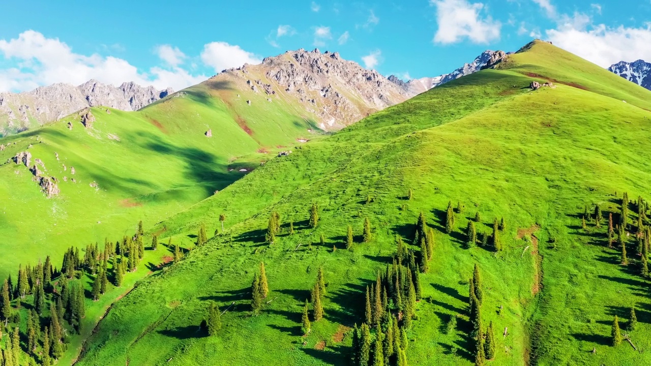 绿色的草原和山脉是新疆的自然景观视频素材