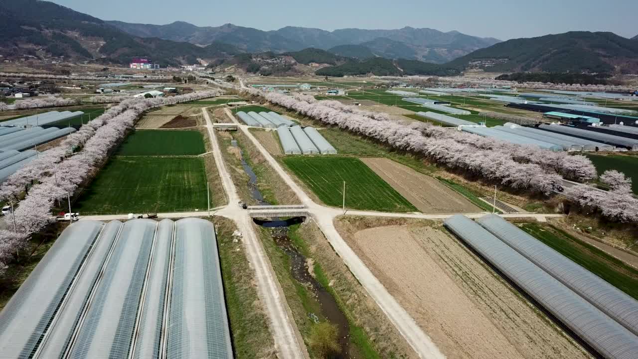 春天，樱花盛开的旅游景点——高山、农田和多隧道/求礼郡，全南道视频素材