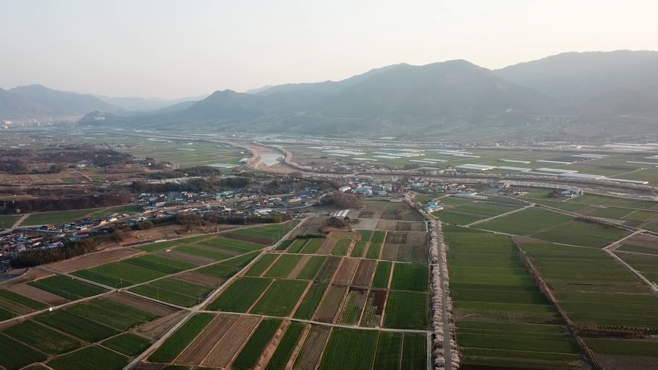 自然景观——山景、农田、隧道、道路、村庄的日落和春天盛开的樱花/韩国全罗南道求礼郡视频素材