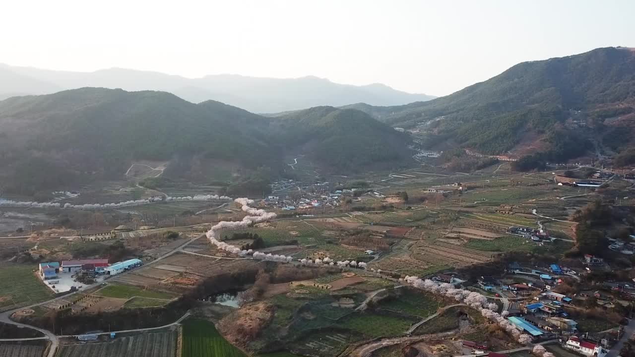 自然风景——山野、农田、道路、村庄的夕阳和春天盛开的樱花/韩国全罗南道求礼郡视频素材