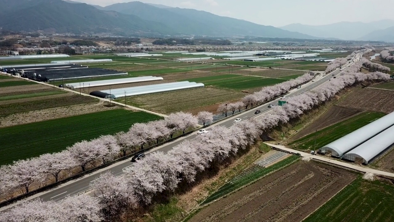 春天，樱花盛开的旅游景点——高山、农田和多隧道/求礼郡，全南道视频素材