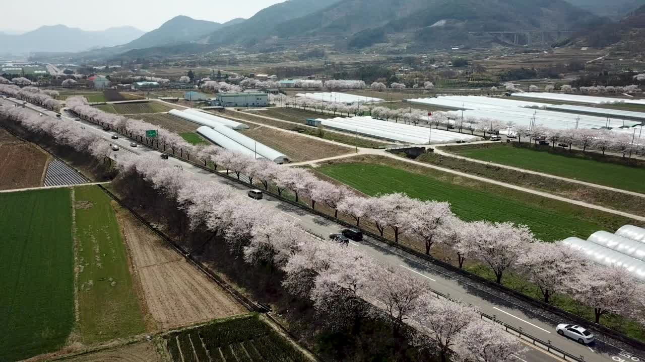 春天，樱花盛开的旅游景点——高山、农田和多隧道/求礼郡，全南道视频素材