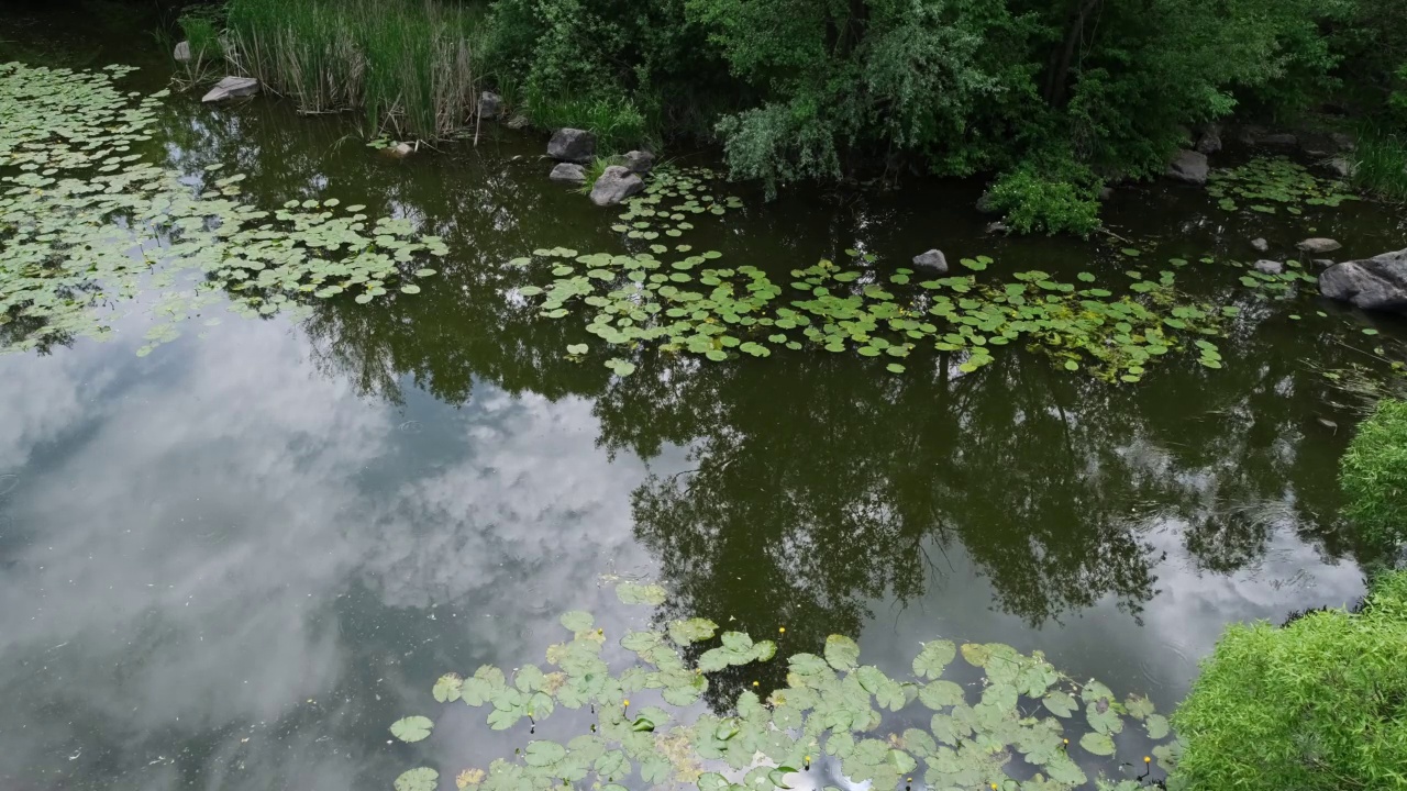 Buky Canyon, Hirskyi Tikych river, Cherkasy地区，乌克兰视频素材