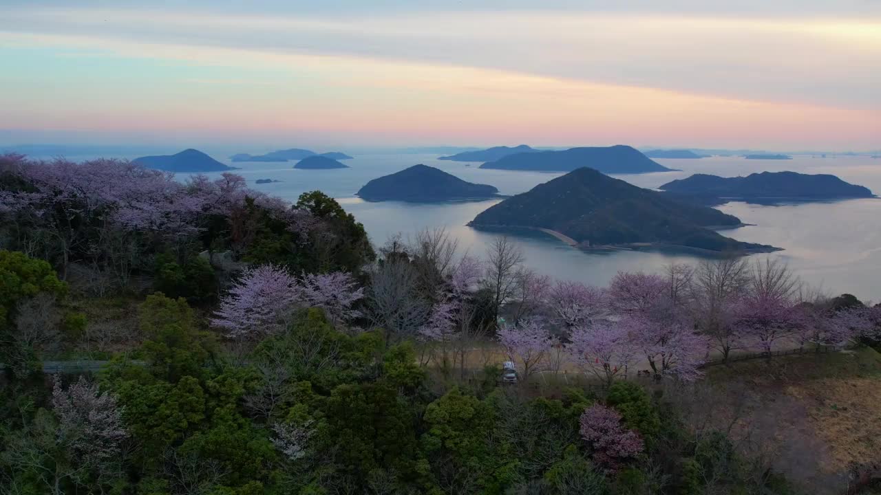 香川县三代市守德山的樱花和濑户内海视频素材