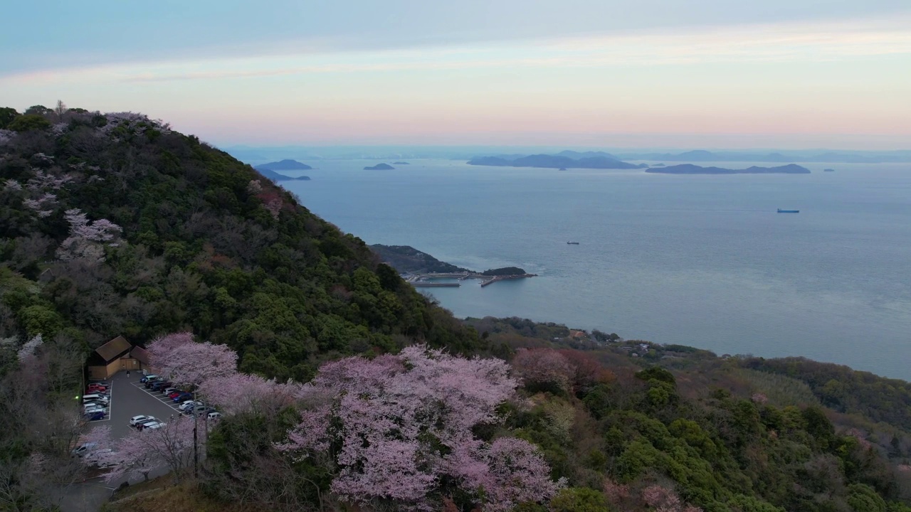 香川县三代市守德山的樱花和濑户内海视频素材