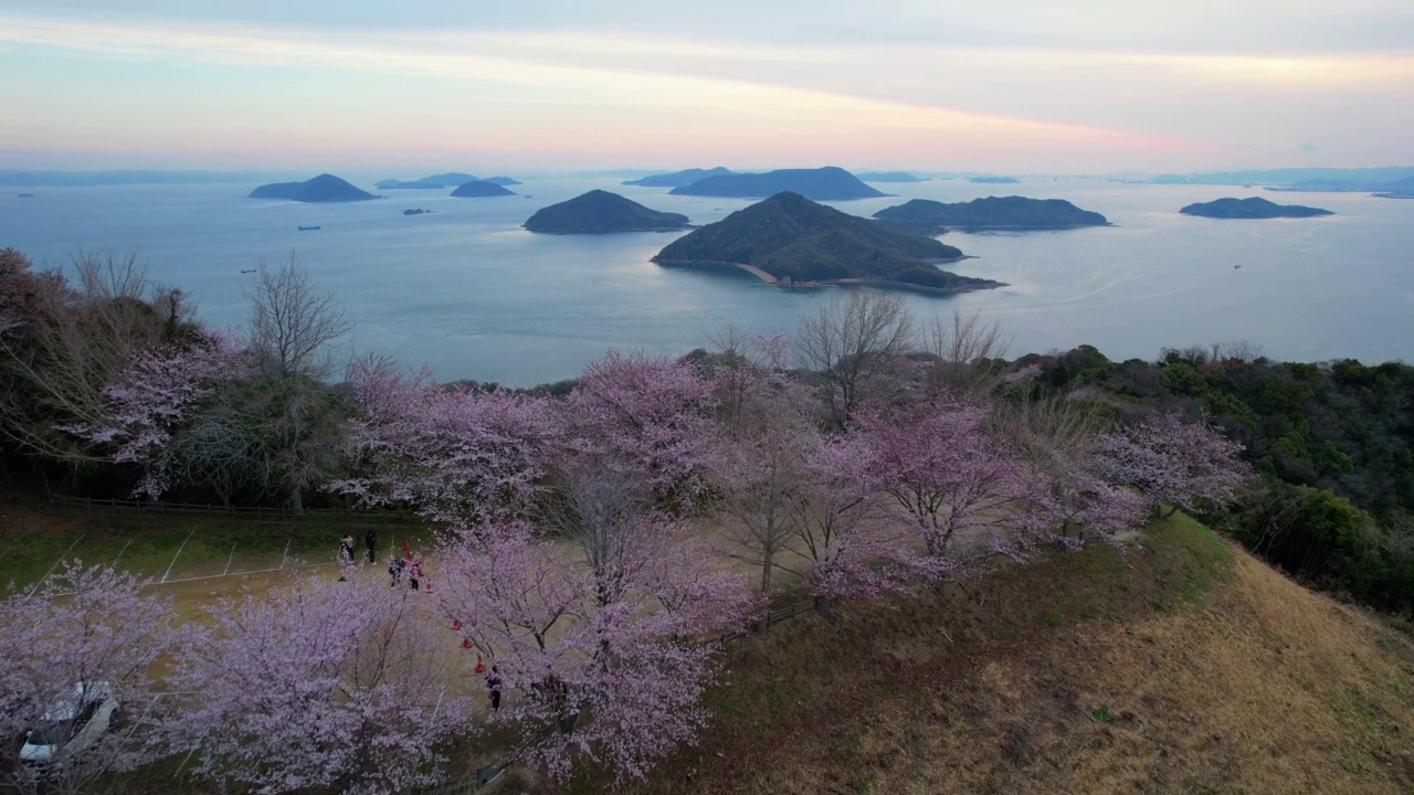 香川县三代市守德山的樱花和濑户内海视频素材