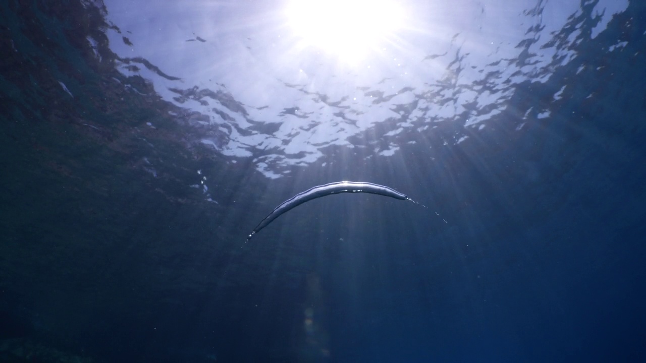 水下接近水面与天空的看法，海洋风景，太阳光束，太阳射线和气泡缓慢放松的海洋背景视频素材