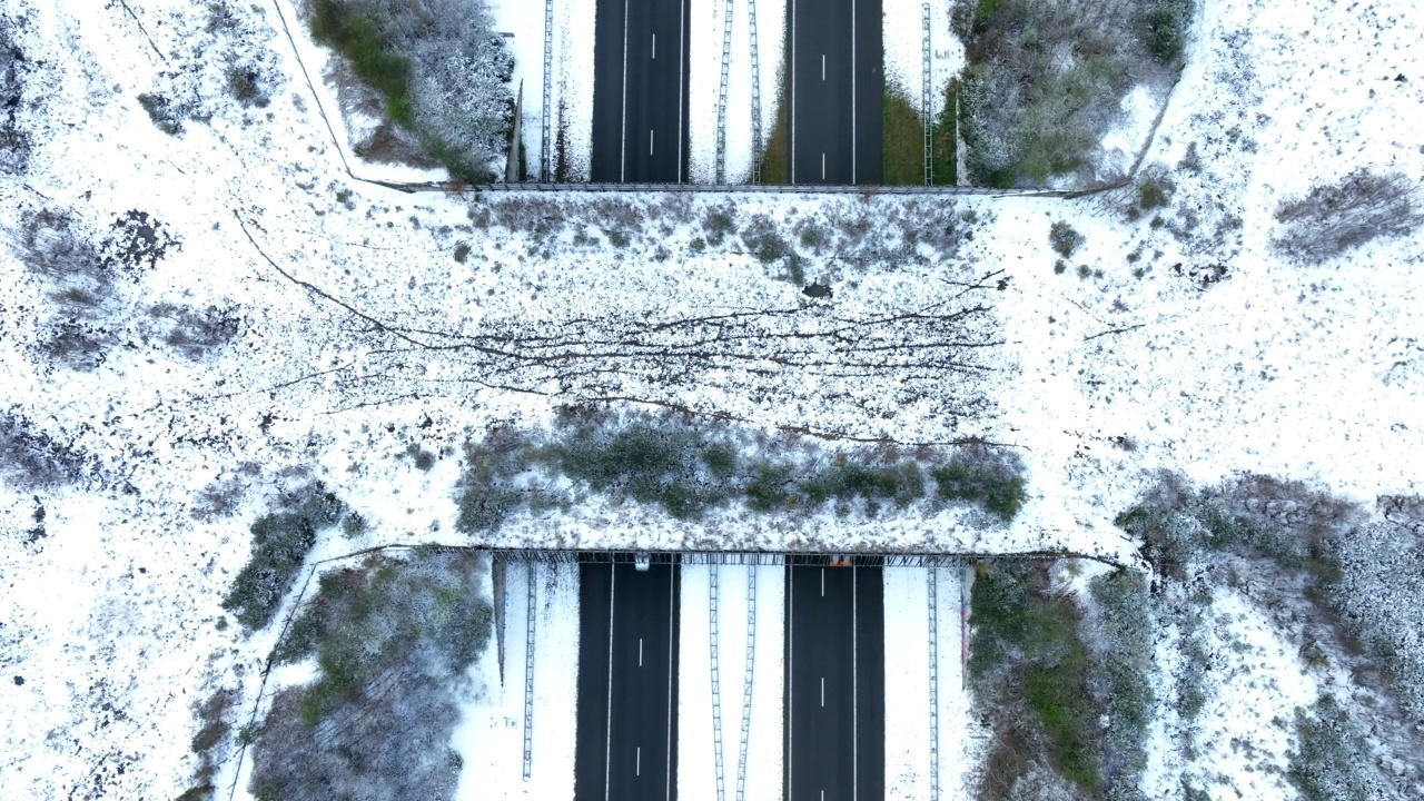 野生动物立交桥穿过雪原森林的高速公路视频素材