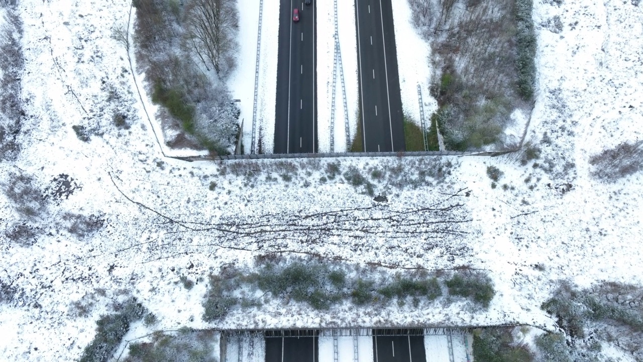 野生动物立交桥穿过雪原森林的高速公路视频素材