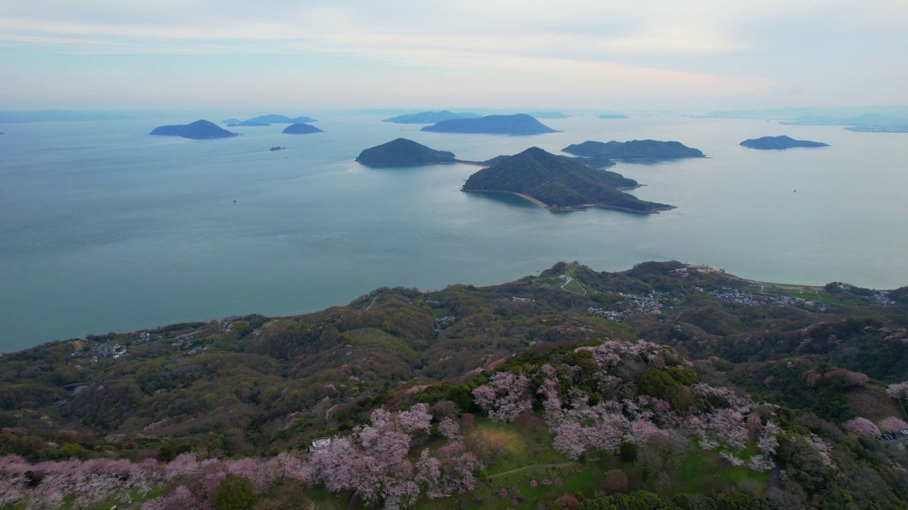 香川县三代市守德山的樱花和濑户内海视频素材