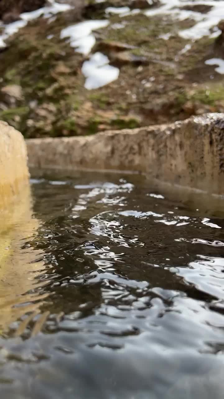 天然泉水视频素材