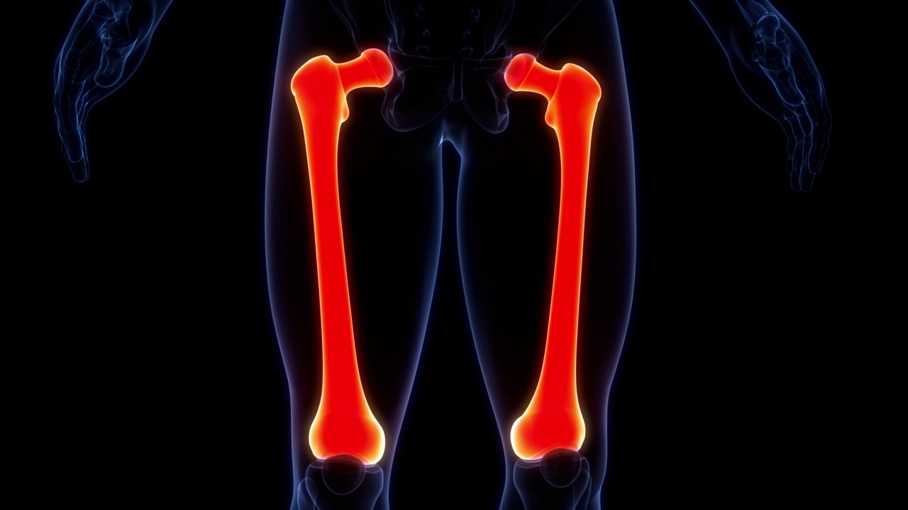 人体骨骼系统股骨关节解剖动画概念视频素材