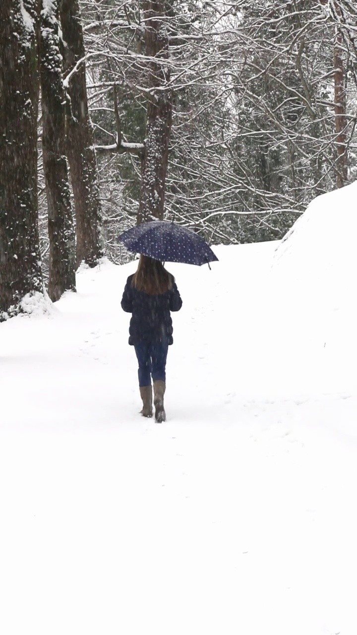 一个女人在下雪的城市公园散步视频下载