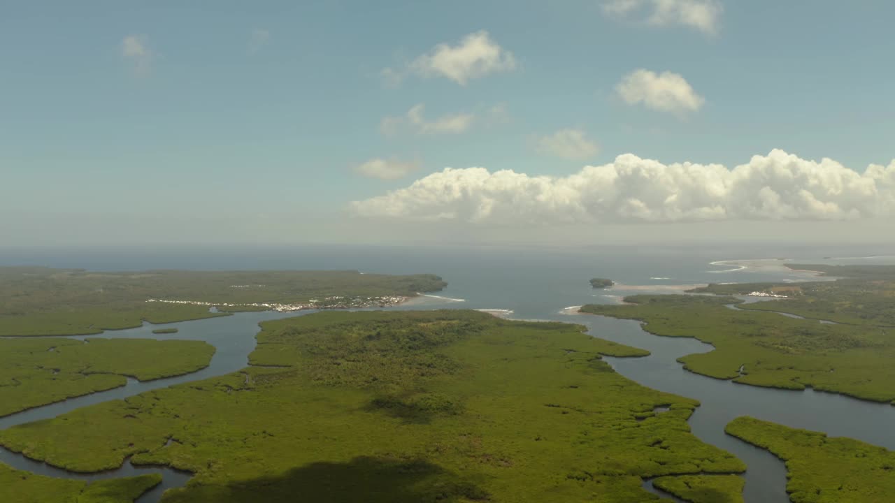 鸟瞰红树林和河流视频素材