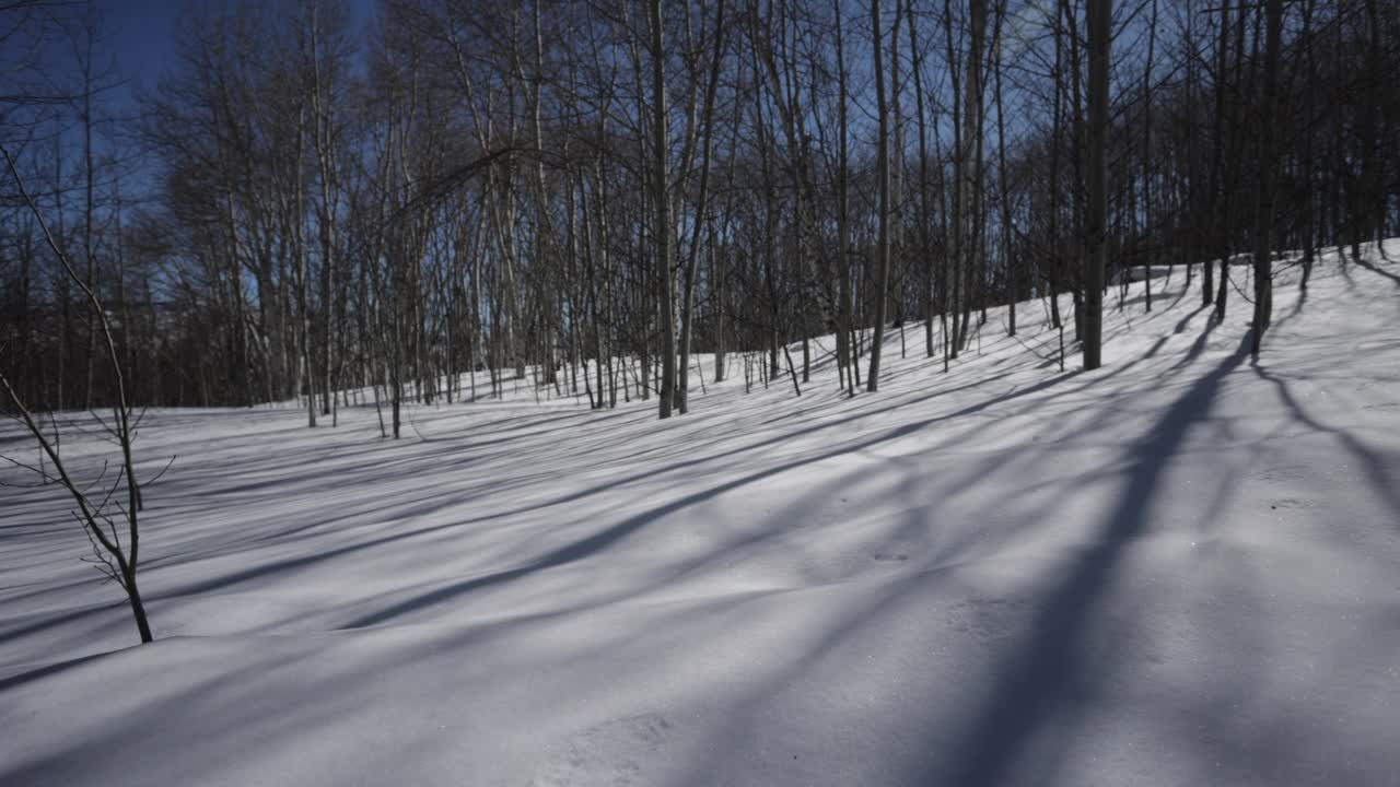 户外冬季运动与高年级学生雪鞋春天视频素材