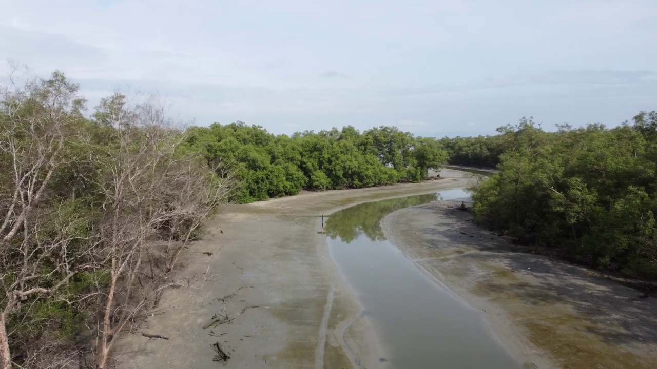 在红树林沼泽中，飞机飞过河流视频素材