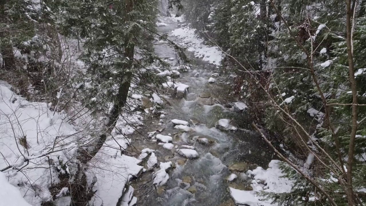 乌克兰麦库利钦冬季森林山普鲁特河上的降雪视频素材