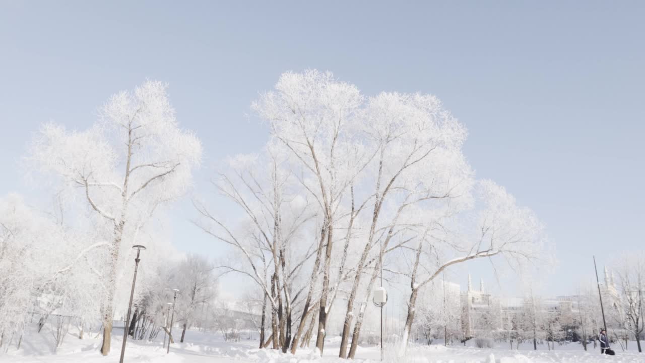 城市公园里白雪覆盖的小路视频素材