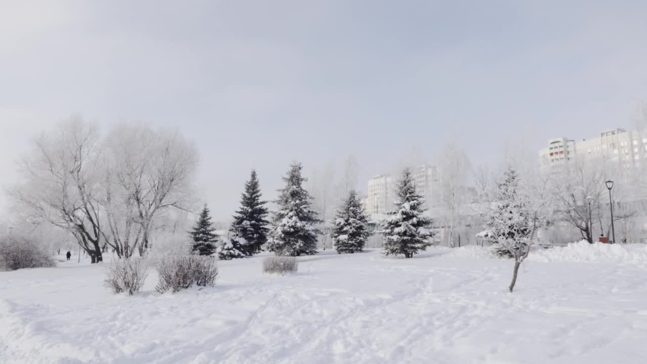 城市公园里白雪覆盖的小路视频素材