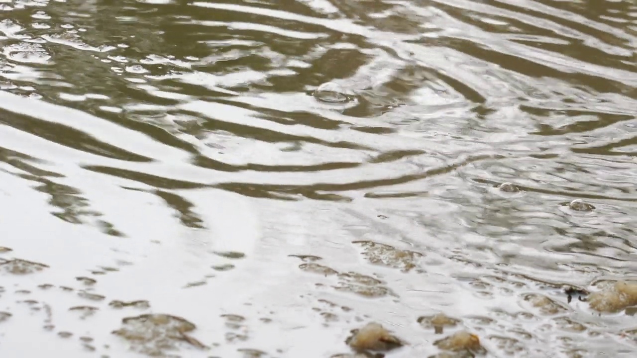 气泡漂浮在雨点下的大水坑的浑水中视频素材