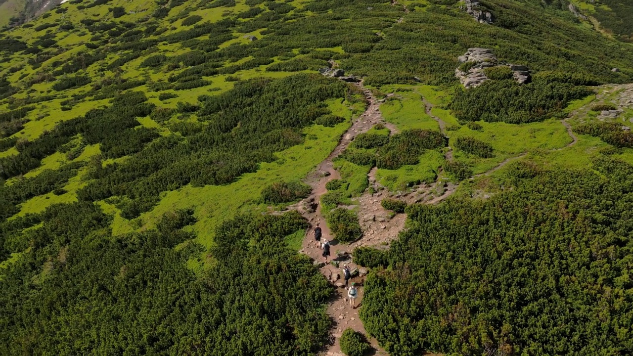 夏天有四个游客爬上山。鸟瞰图。在山里徒步旅行。一群游客爬上了山顶。鸟瞰群山如画般的美景视频素材