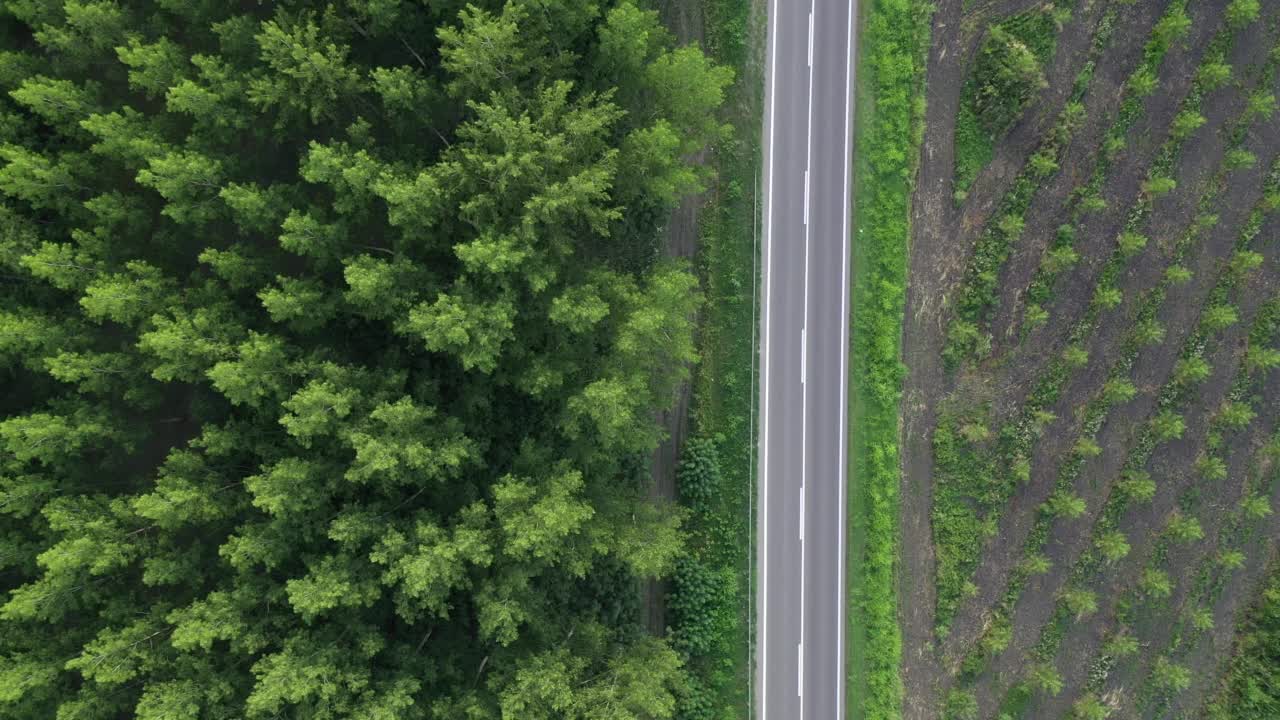 卡车和汽车在道路上穿过森林景观，无人机空中拍摄视频素材