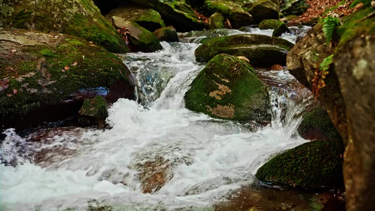 小溪流过长满青苔的岩石视频素材