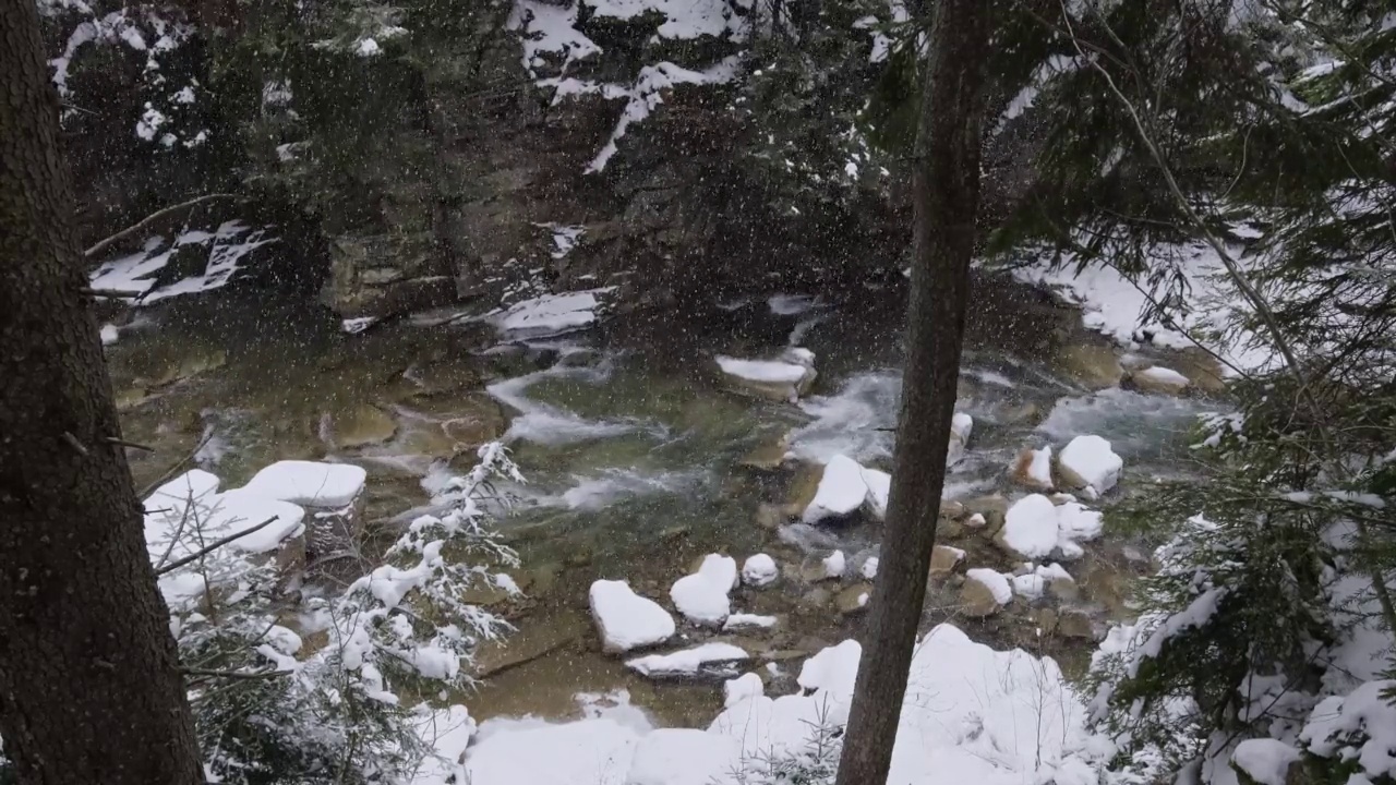 乌克兰麦库利钦冬季森林山普鲁特河上的降雪视频素材