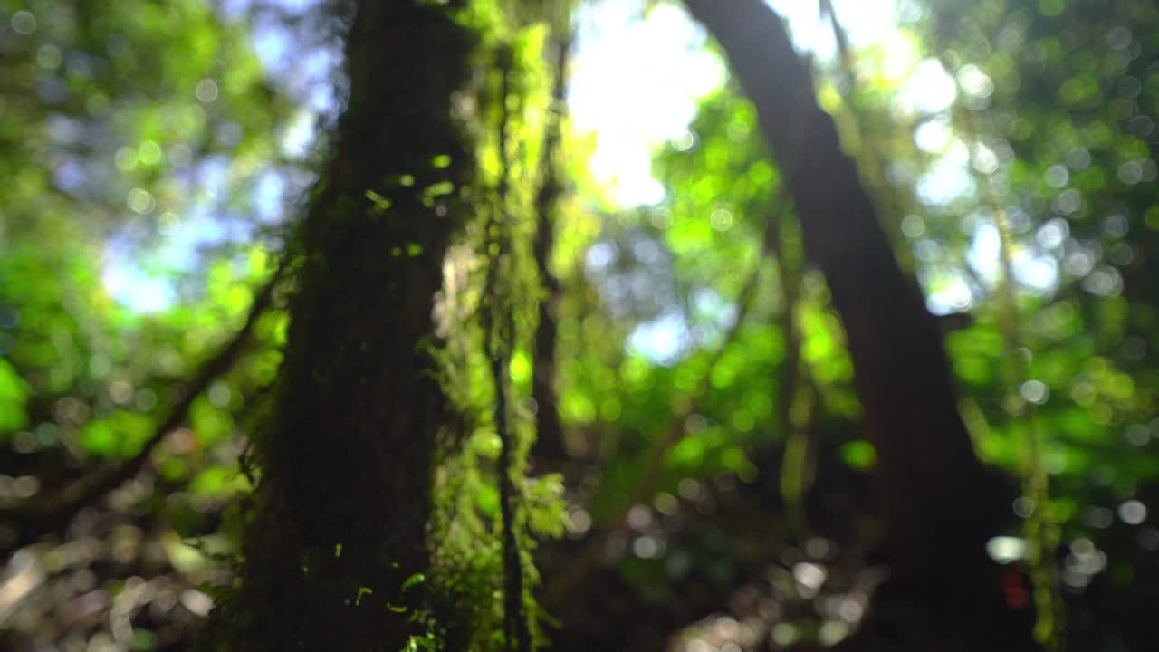 美丽的自然山景。视频素材