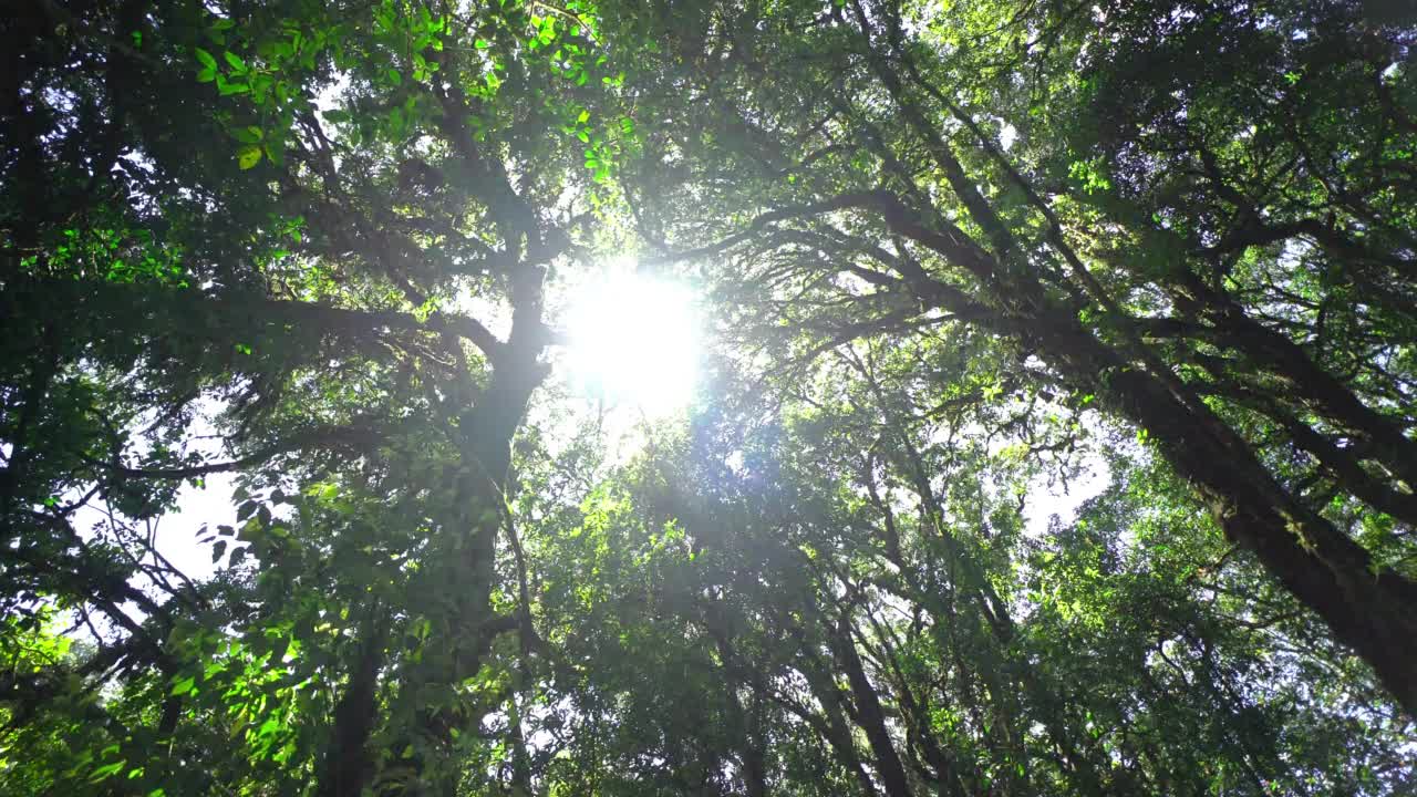 美丽的自然山景。视频素材