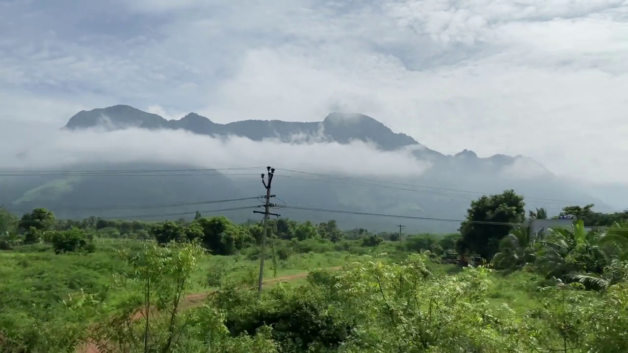 云雾雾山，冷杉林，复古复古潮风，晨开车雾山视频素材