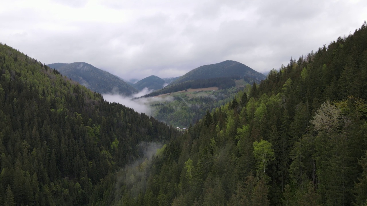 乌克兰，喀尔巴阡山脉:美丽的山地森林景观。空中视频素材