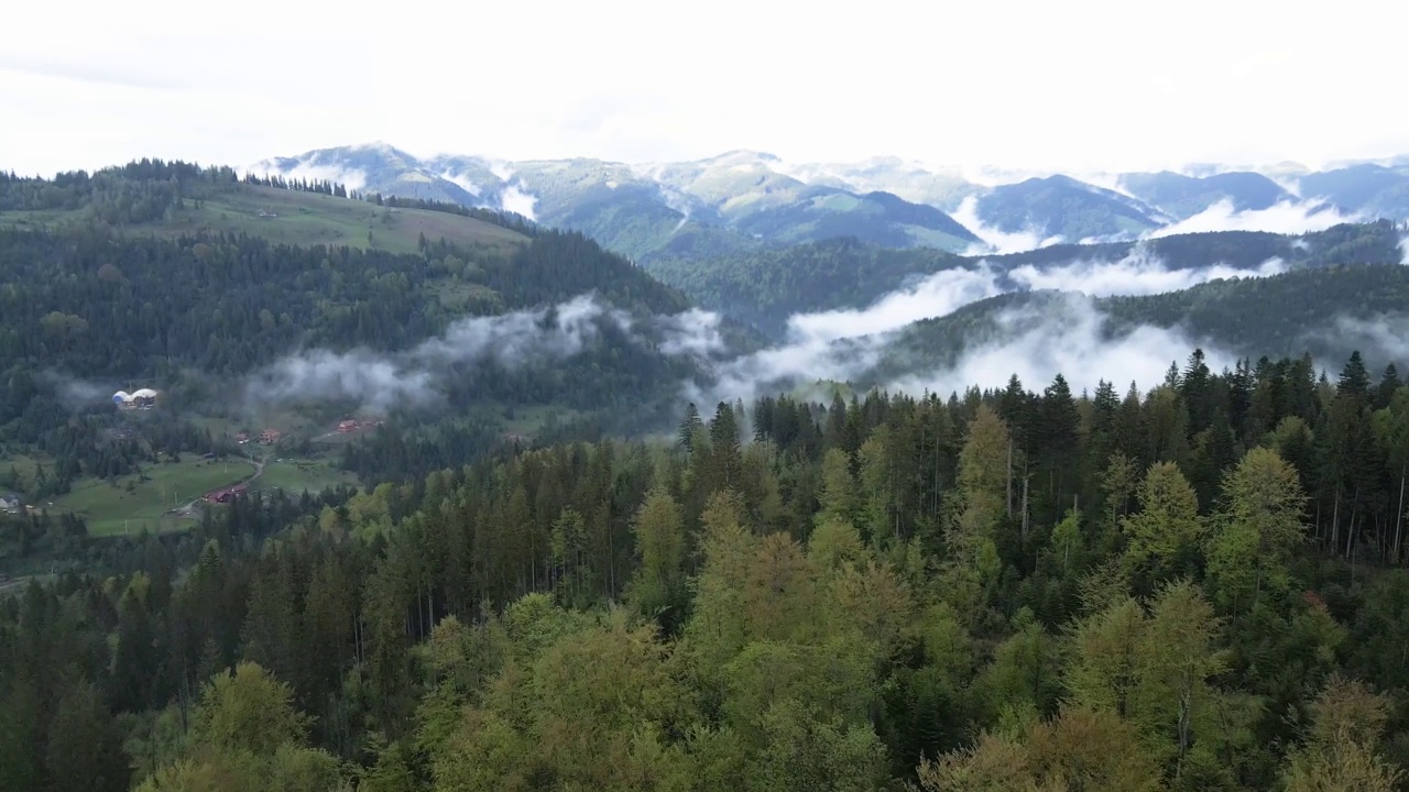 乌克兰，喀尔巴阡山脉:美丽的山地森林景观。空中视频素材