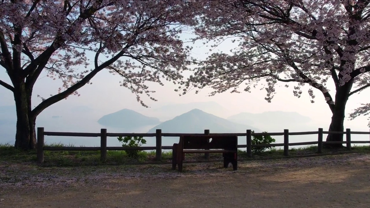 香川县三代市守德山的樱花和濑户内海视频素材